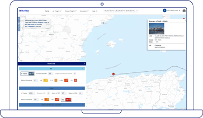 BlueBoxCargo_Dashboard_Detail