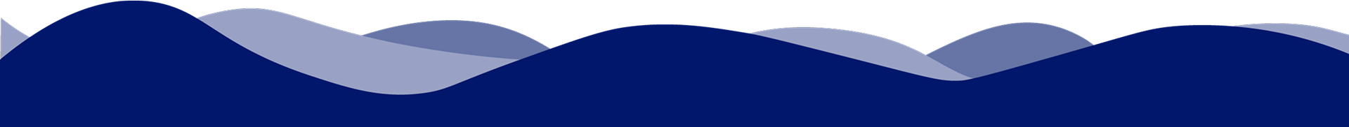 Element 2-3 (1) (1)